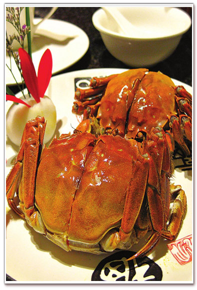 大闸蟹广告拍摄